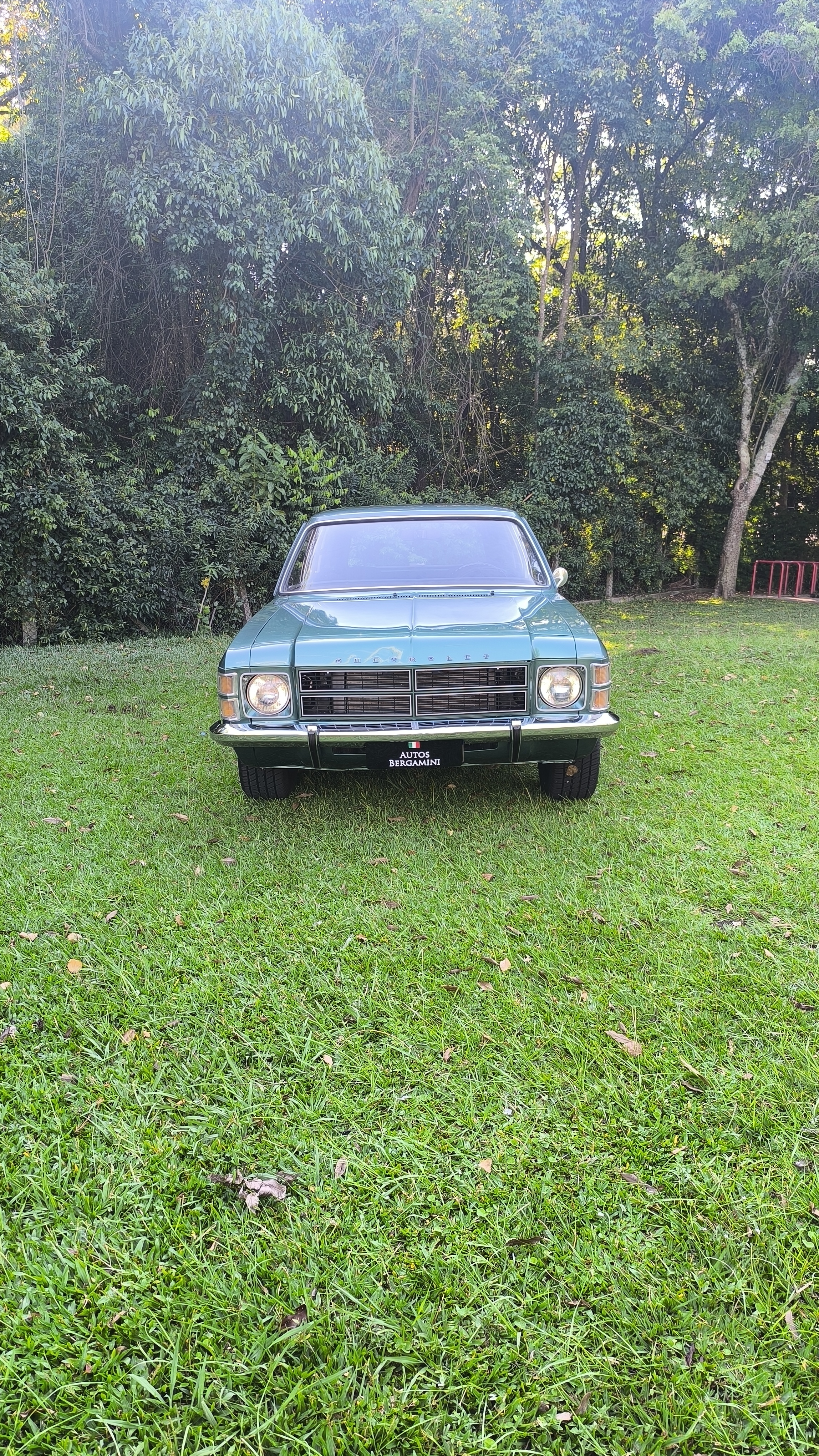 GM CARAVAN 4100 1979