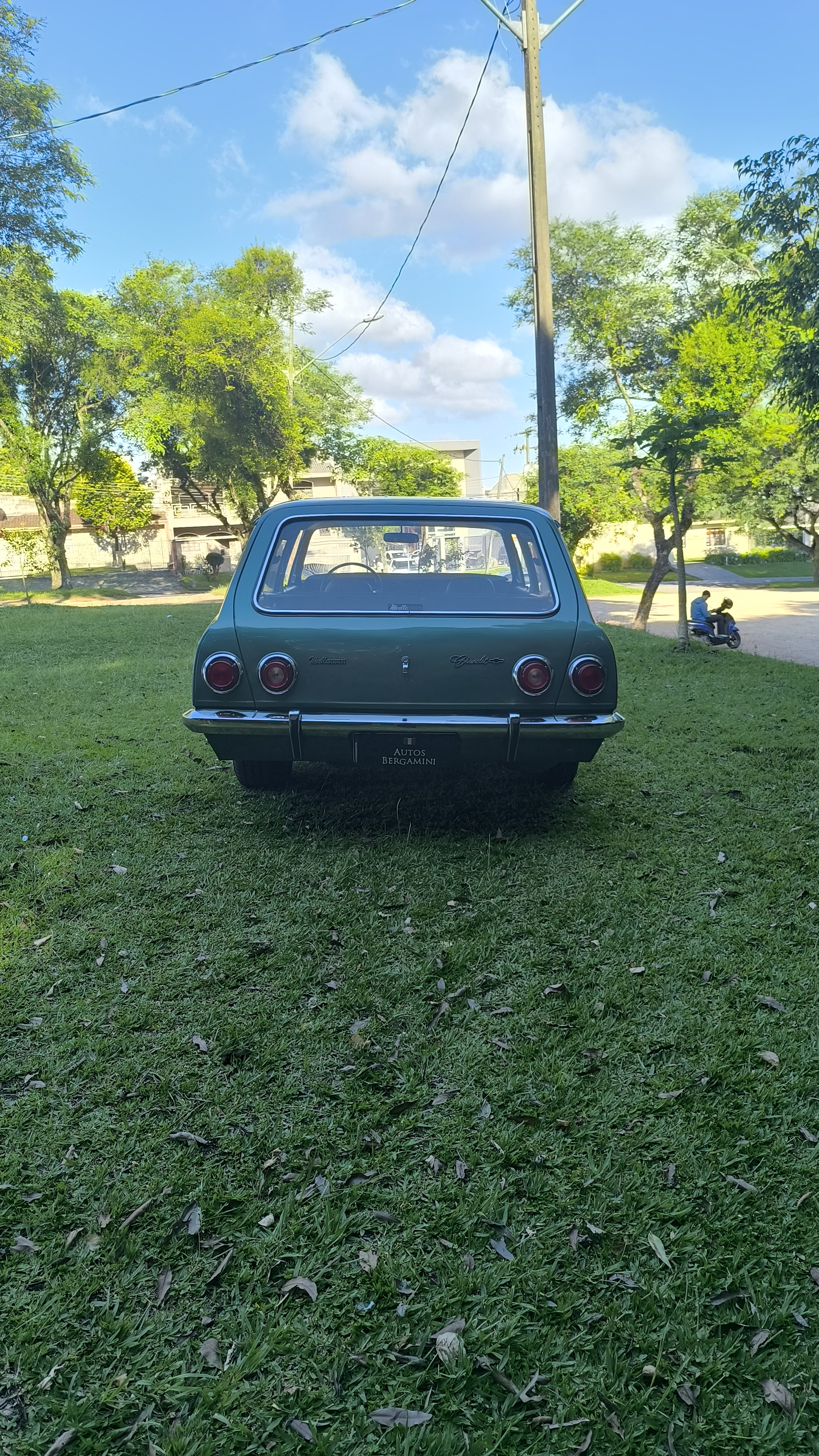 GM CARAVAN 4100 1979