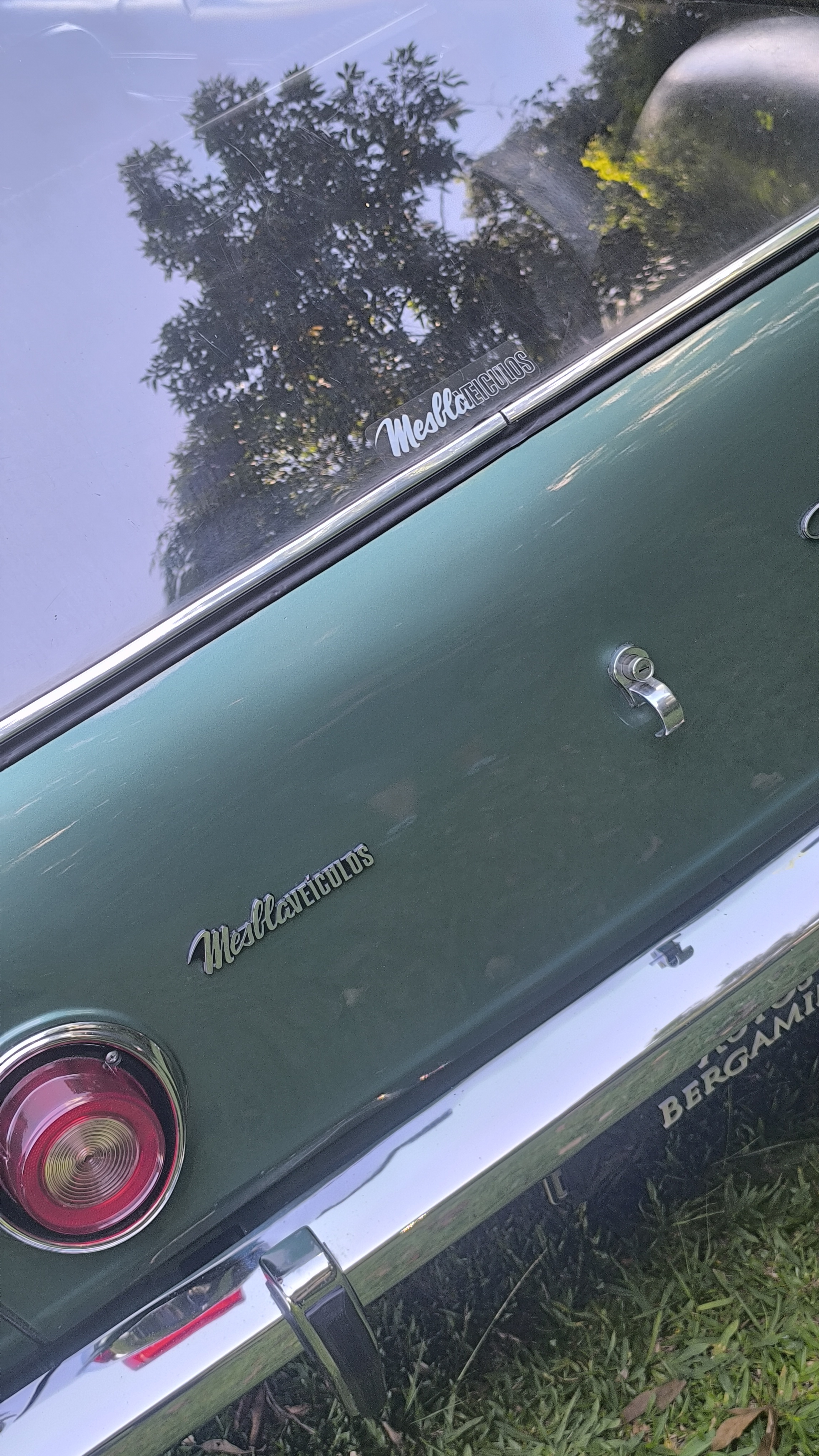 GM CARAVAN 4100 1979